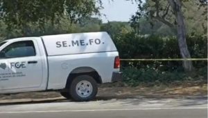Ayer lo tarde; Localizan restos humanos en la carretera El Trapiche a Ocotillo en Cuauhtémoc, Colima 